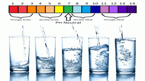 How to Select Best Alkaline Water Purifier