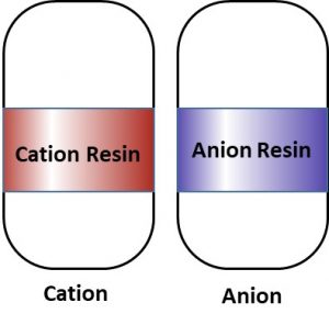 Cation and Anion